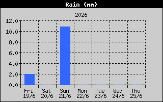 Rain